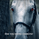 Image for article titled Sleepy Hollow Goes Wide With Their "Necromancer"